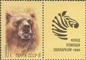 Brown Bear (Ursus arctos)