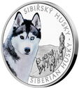 1 Dollar (Dog Breeds - Siberian husky)