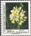 Dactylorhiza romana
