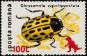 Willow Leaf Beetle (Chrysomela vigintipunctata) Overprinted