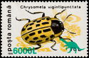 Willow Leaf Beetle (Chrysomela vigintipunctata) Overprinted