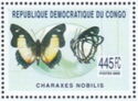 Charaxes nobilis