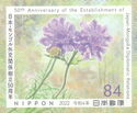 Scabiosa comosa