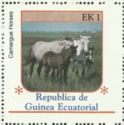 Camargue Horse (Equus ferus caballus)
