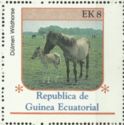 Dülmen Pony (Equus ferus caballus)