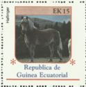 Haflinger (Equus ferus caballus)