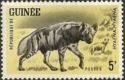 Striped Hyaena (Hyaena hyaena)