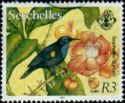 Seychelles Sunbird (Cinnyris dussumieri)