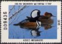 Hooded merganser (Lophodytes cucullatus)