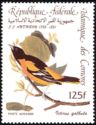 Baltimore Oriole (Icterus galbula)