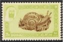 Snail (Vivipara fasciata)
