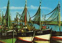 Fishing Boats