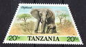 African Elephant (Loxodonta africana)