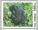 Gorilla gorilla beringei