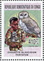 Scout and Glaucidium pertatum