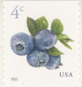 Blueberries (Coil Stamp)