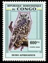 Bubo africanus