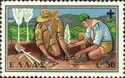 Scounts planting trees
