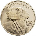 3,000 Forint (The Transylvanian hund)
