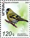 Eurasian siskin (Spinus spinus)