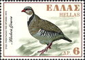 Rock Partridge (Alectoris graeca)