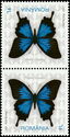 Ulysses Butterfly (Papilio ulysses)