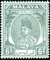 Raja Syed Putra