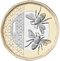 1 Pound (Bees ♚)