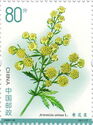 Sweet Wormwood (Artemisia annua)