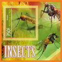 Insects (Mosquito)