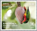 Rimitara Lorikeet (Vini kuhlii)