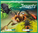 Insects
