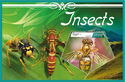 Insects