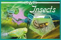 Insects