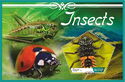 Insects