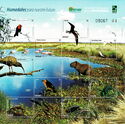 Wetlands For Our Future