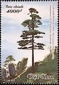 Delavay's Silver-fir (Abies delavayi)