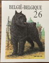 Bouvier des Flandres (Canis lupus familiaris)