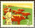 Cattle Herd (Bos primigenius taurus)