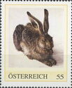 Young Hare by Albrecht Dürer