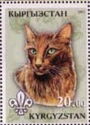 Domestic Cat