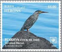 Striated Heron (Butorides striata)