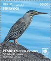 Striated Heron (Butorides striata)