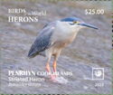 Striated Heron (Butorides striata)