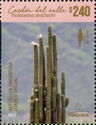 Argentine Saguaro (Echinopsis terscheckii)
