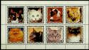 Cat Breeds