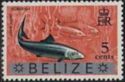 Bonefish (Albula vulpes) - Overprinted