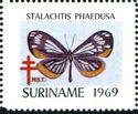 Stalachtis phaedusa