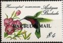 Purple-throated Carib (Eulampis jugularis) - Overprinted