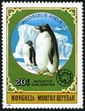 Adelie Penguin (Pygoscelis adeliae)